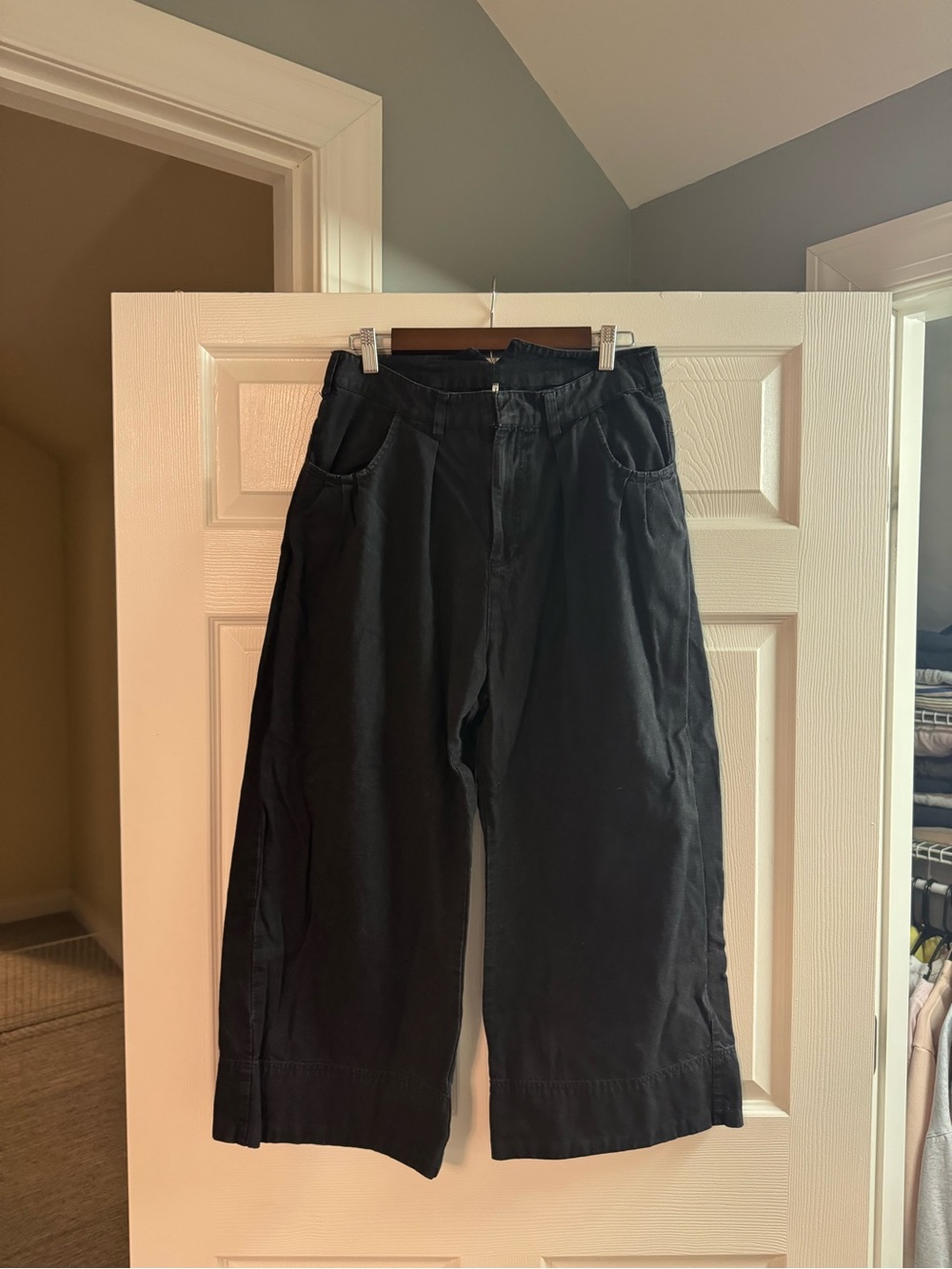 Free people pants